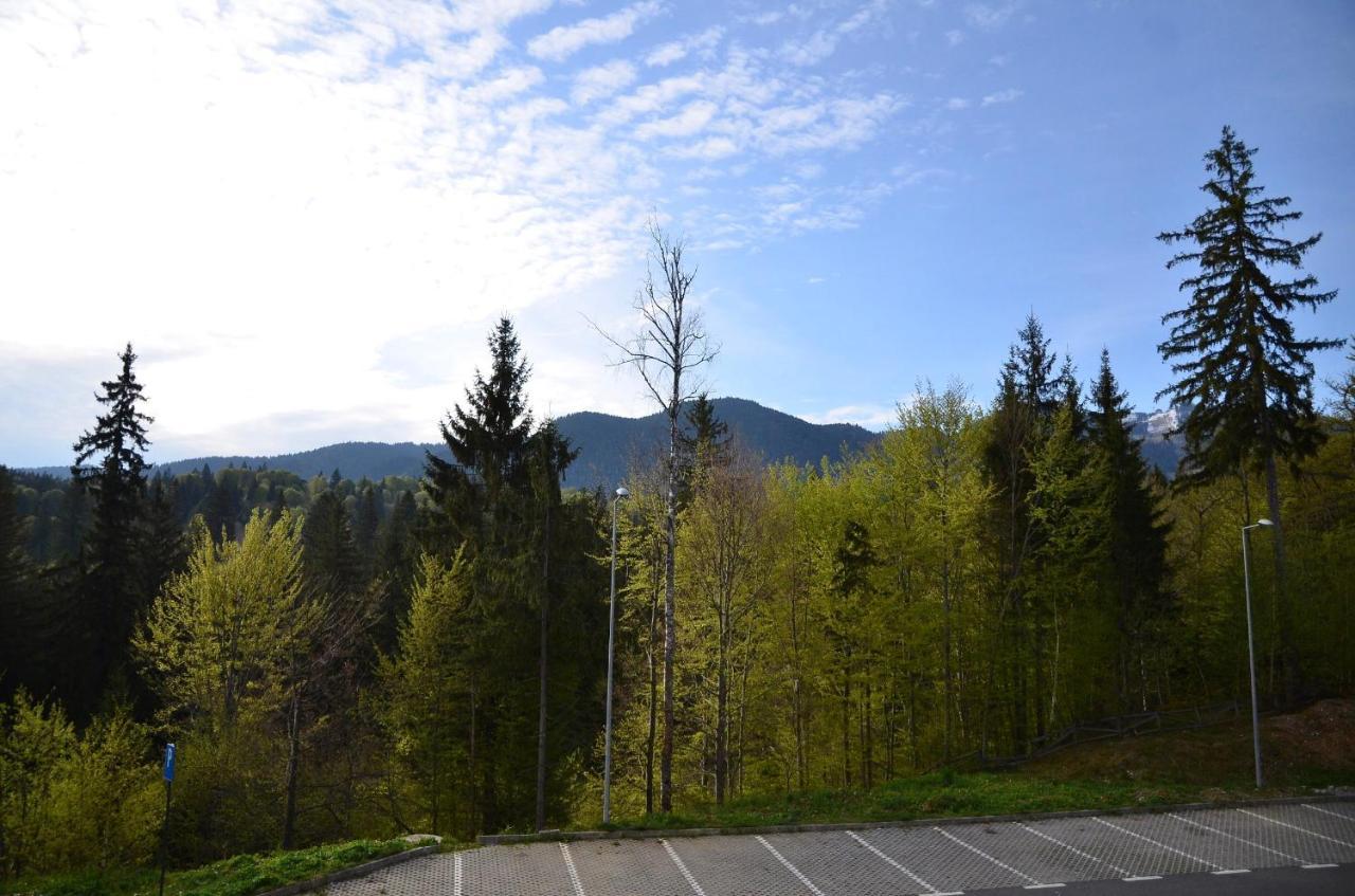 Silver Pine Apartment Poiana Brasov Bagian luar foto
